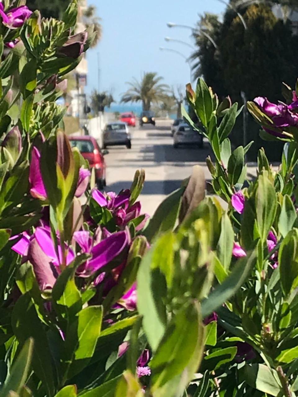 Hotel Royal San Benedetto del Tronto Kültér fotó